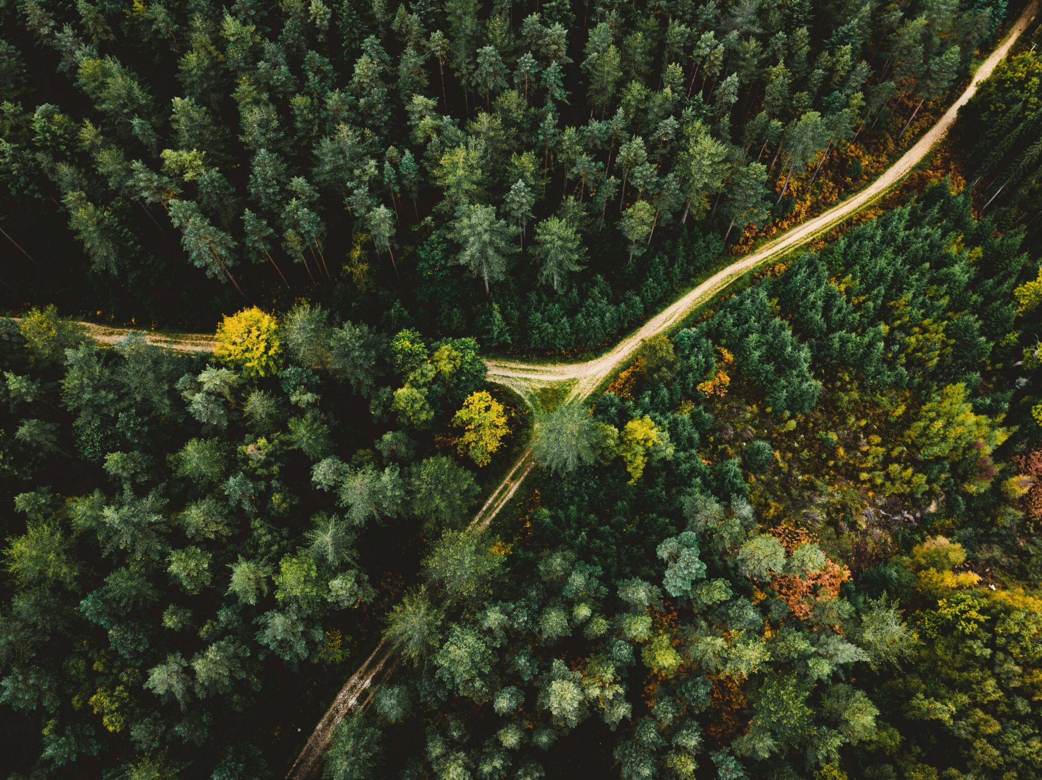 L’impact environnemental des Citroën Ami : Une solution écologique ?